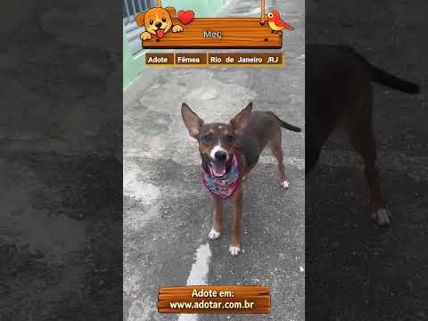 Vídeo de Meg 