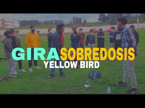 JQUILL vs PUNCH - FINAL | Gira Sobredosis la Placita 2020 #yellowbird
