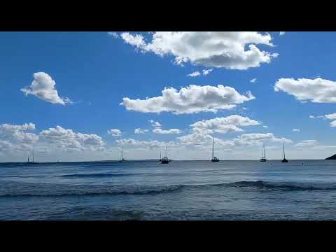 Ses Selines beach in Ibiza.