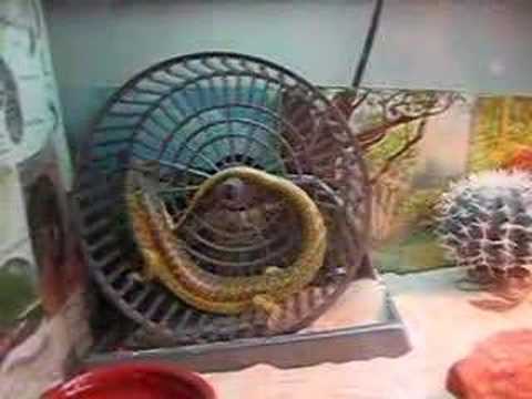 YouTube Video LtkhSDuRsQQ