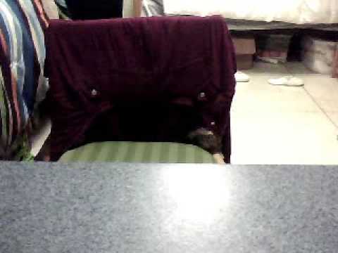 Public Enemy by Mapei