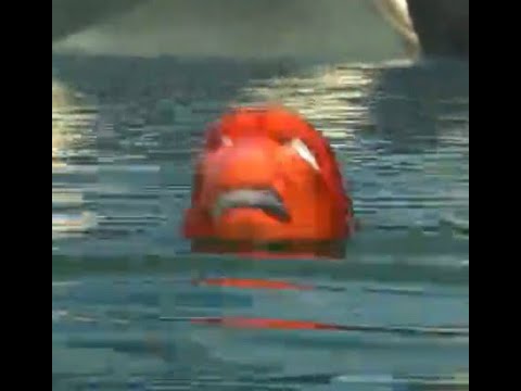 Volibear bruhbruhbruh