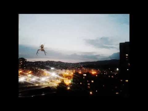 Hector Gachan - Everyday