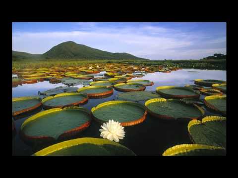 Tuxedo & Omar Fayyad - Medina [Omar Fayyad Remix]