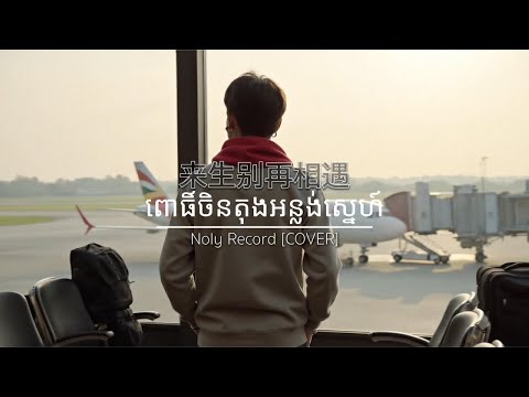 NOLY RECORD - ពោធិ៍ចិនតុងអន្លង់ស្នេហ៍ | 来生别再相遇 [COVER]