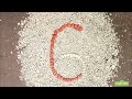 Sesame Street Pebbles 6 HQ