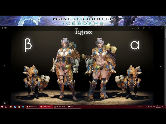 Video preview