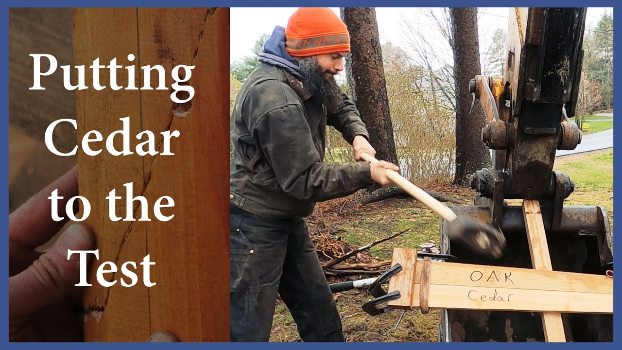 Acorn to Arabella - Journey of a Wooden Boat - Episode 111: Putting Cedar to the Test