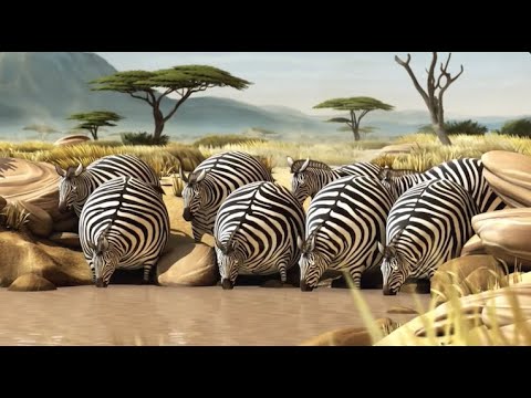 Sound Design and Music for Animations ROLLIN' WILD