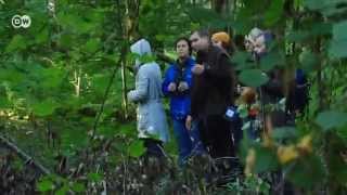 preview picture of video 'Bialowieza - Der letzte Urwald Europas | Global 3000'