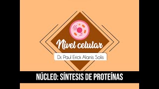 La célula - Síntesis de proteínas