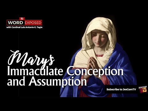 Mary's Immaculate Conception and Assumption - Faith Exposed  with Cardinal Tagle