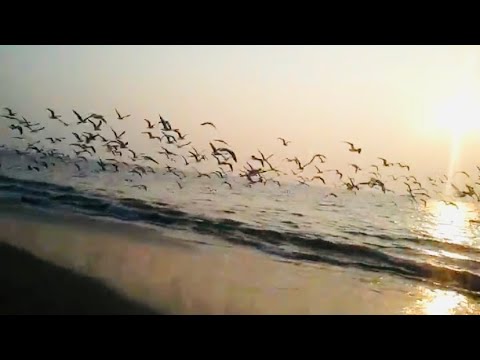 90 kids😍Kuttayi beach ride #trending#rider #beach #shorts #tirur #kuttayi #vibes