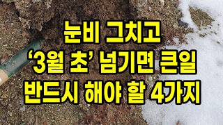 눈비 그치고 3월 초 넘기면 큰일 반드시 해야 할 4가지