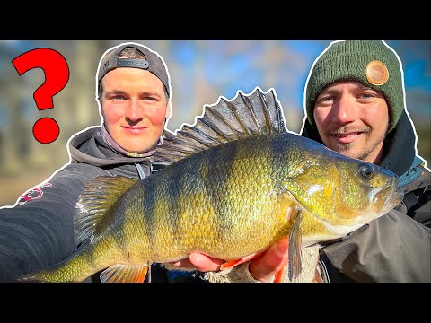 WHO CATCH THE FIRST FISH OF THE YEAR? (Tobias vs Edvin) | Team Galant