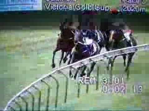Victoria Gold Cup 2003