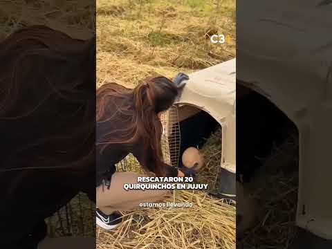 ❗ TRÁFICO ILEGAL DE FAUNA | Cadena 3 Argentina