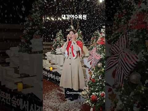 ❄️ 눈 내리는 빛의 숲 #대가야수목원❄️