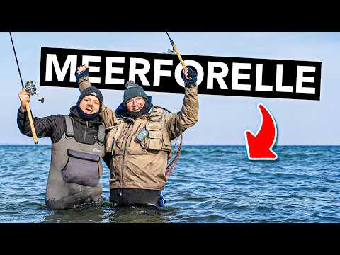 So fängst du deine erste Meerforelle! 🎣 (Ausrüstung, Köder, Technik und Spots)