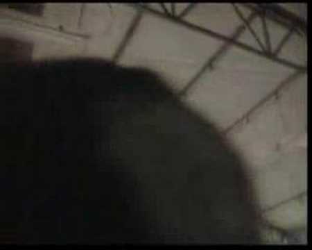 Danno e Kaos One a Mestre by LUCA