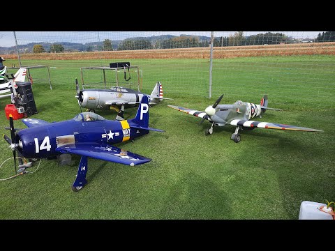 Austrian WW2 Fighters - RC Warbird Action at airport stocking**