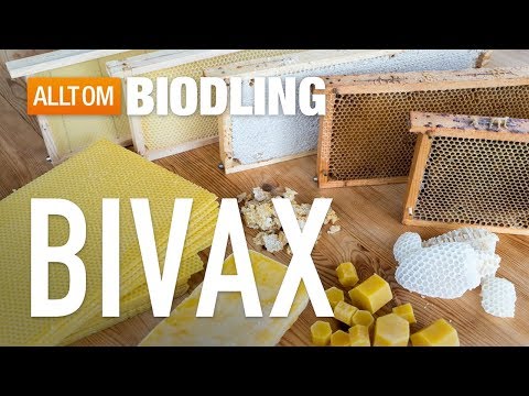 Bivax - Introduktion