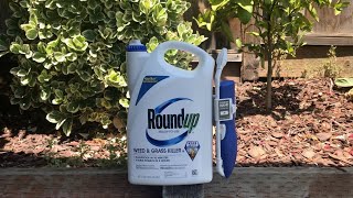 Review Roundup weed and grass killer