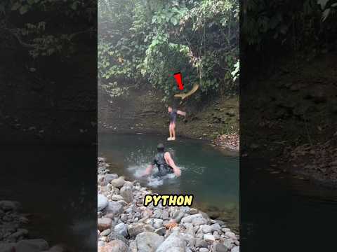 Animals Caught on Camera Doing the Unbelievable!