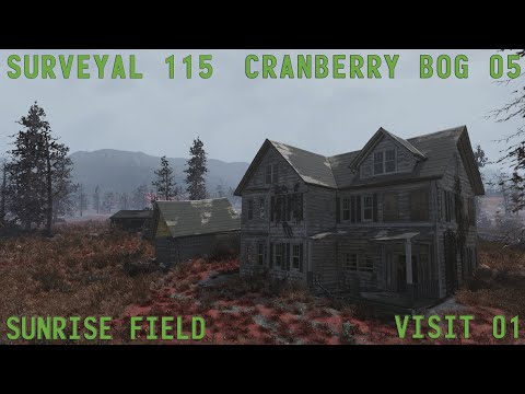 Fallout 76 Surveyal Project 115 - Cranberry Bog 05 - Sunrise Field