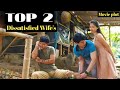 TOP 2 Dissatisfied Wife S Cheating Wife Philippines Plot Movie Vivamax