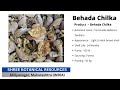 Video 1