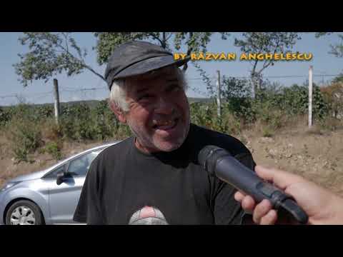 De unde vine numele comunei VÂRTEȘCOIU (județul Vrancea)? Trebuie schimbat numele?