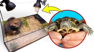 Cómo construir una casa perfecta para su mascota 🐢🌸