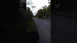 Download lagu Balapan Rx King vs Satria Fu Menang satria fu nasib aja lagi!!! mp3