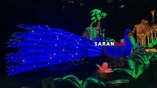 Boston light  2021 | shorts