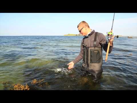 Havrredfiskeri p Fyn med Fisch und Fang