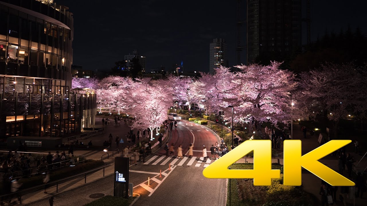 Tokyo Midtown Cherry Blossoms illumination