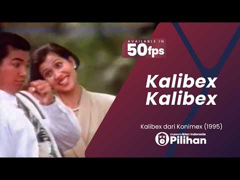 Iklan Kalibex (1995) [50 fps]