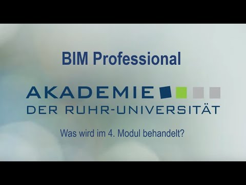 BIM Professional Modul 4