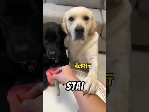 Testul Extrem De Curaj