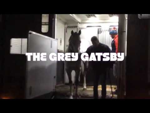 Arrivée au HARAS DU PETIT TELLIER - THE GREY GATSBY