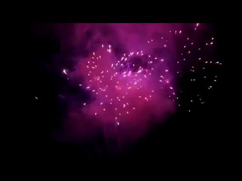 Purple Peony Finale Box - 25 Shots - Dominator Pro