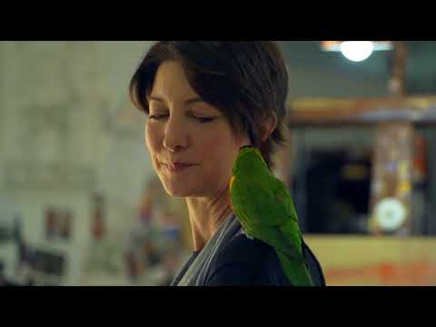 download lagu mp3 mp4 Lauren Wilhelm, download lagu Lauren Wilhelm gratis, unduh video klip Lauren Wilhelm