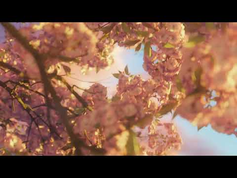 Keep Going (sakura mix)