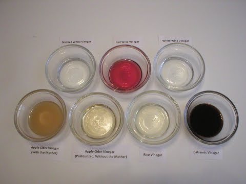 download lagu mp3 mp4 Where To Buy Champagne Vinegar, download lagu Where To Buy Champagne Vinegar gratis, unduh video klip Where To Buy Champagne Vinegar