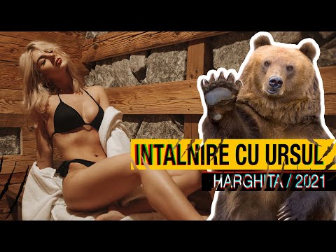 Ne-am intalnit cu URSUL!? 🐻 Aventuri in HARGHITA
