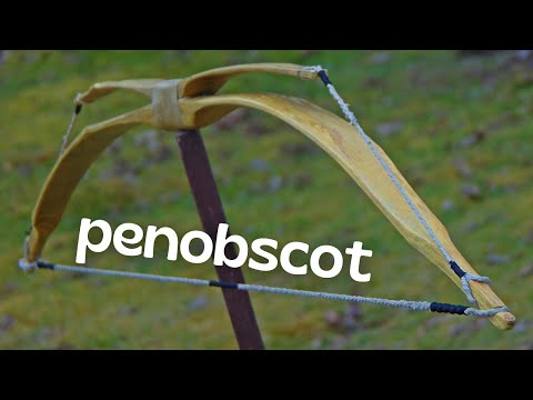Penobscot Double Bow in Action
