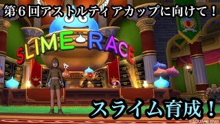 ドラクエ10実況part110  アストルティアカップに向けてスライム育成！