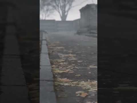 The Haunting Fog of Ash Hollow