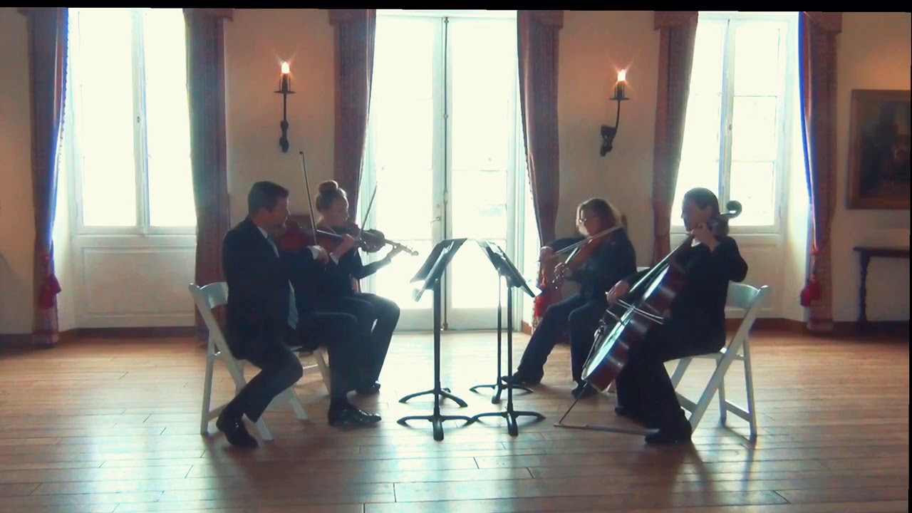 Promotional video thumbnail 4 for Gabriel's Horns Live Wedding Musicians